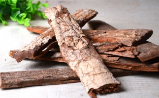 木材加工廠的廢棄物刨花能夠用來(lái)做什么？鋸末顆粒機(jī)告訴你