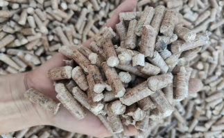 木材加工廠木屑堆積如山，環(huán)保部門令趕緊處理怎么辦？有它就夠了